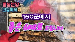 *(판매완료))안동에서 좋은 6매벌 100군 선착순으로 모십니다.