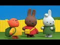 miffy the knight miffy best of miffy