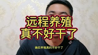 远程养殖真不好干了