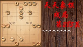 天天象棋 残局第285关 | 笼统献计