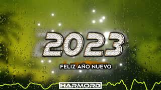 MIX FIN DE AÑO 2022 / MIX AÑO NUEVO ENERO 2023 (Gatita,Lokera,Regueton,Electro,Cachengue)
