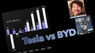 Tesla vs. BYD Profit Margin Chart