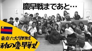 【慶早戦まであと...1ヶ月】慶應スポーツ新聞会の皆さん