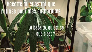 Musique des plantes, basalte, substrat, acclimatation des plantes importées.