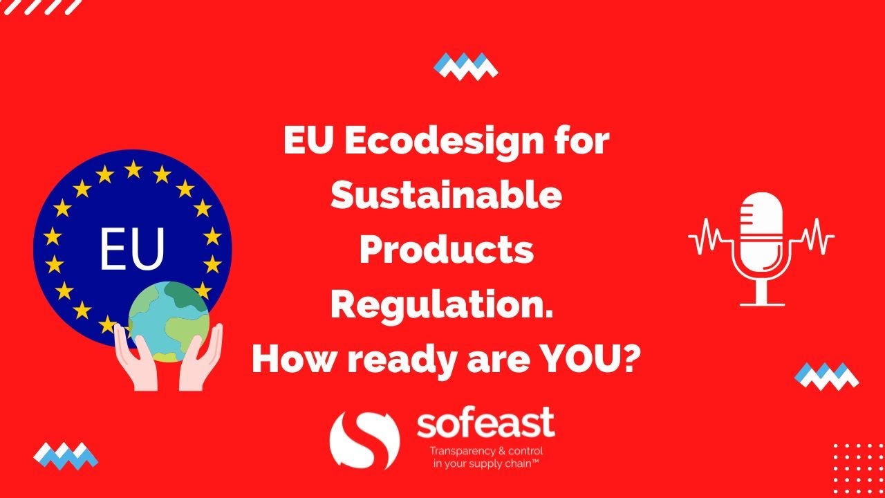 EU Ecodesign For Sustainable Products Regulation. How Ready Are YOU ...