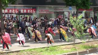 平岸天神ジュニア　～2017YOSAKOIソーラン祭り･11日(日)(平岸会場)