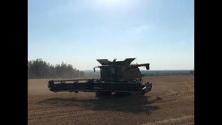 MacDon FD 140 draper header harvesting heavy lodged winter wheat without crop lifters.