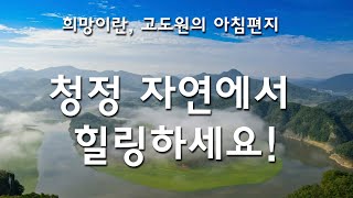 오늘도 수고했어요!  청정 자연에서 지친 당신에게 보내는 힐링영상~