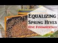 🔶Equalizing Spring Hives