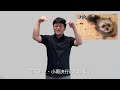 【広報みさと手話動画 令和6年09月号】ｍｉｓａｔｏ　ｓｔｙｌｅ　２０２４