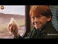 Every Hidden Detail Easter Egg in Harry Potter and the Philosopher's Stone (FULL FILM BREAKDOWN)