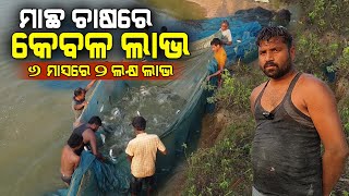 ୬ ମାସରେ ୨ ଲକ୍ଷ ଲାଭ || ପଶ୍ଚିମ ଓଡ଼ିଶାରେ ମାଛ ଚାଷ || Fish farming in Western Odisha.