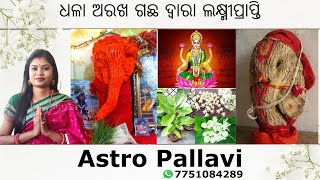 ଧଳା ଅରଖ ଦ୍ୱାରା ଲକ୍ଷ୍ମୀ ପ୍ରାପ୍ତି