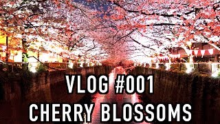 VLOG#001【桜】東京で花見するならココ!!! 目黒川 TOKYO JAPAN CHERRY BLOSSOMS SAKURA