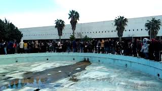 Démonstrations en Algérie pour la 1ère fois 2019... Mentouri Univ, Constantine      مسيرة الجزائر