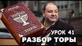 РАЗБОР ТОРЫ. УРОК 41. КИ-ТЕЦЕ