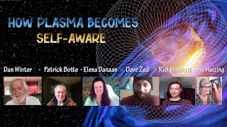 HOW PLASMA BECOMES SELF-AWARE ~Sept 25 2022