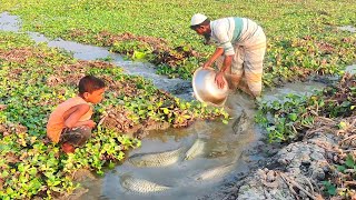 Amazing hand fishing video - Traditional carp fish catching in mud water by hand - MR Fishing Life