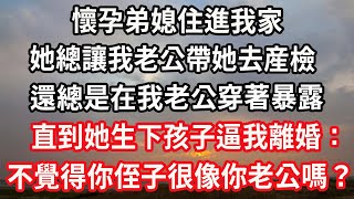 懷孕弟媳住進我家，她總讓我老公帶她去産檢，還總是在我老公穿著暴露，直到她生下孩子逼我離婚：不覺得你的侄子很像你老公嗎？#心靈回收站