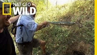Cobra Den | Python Hunters