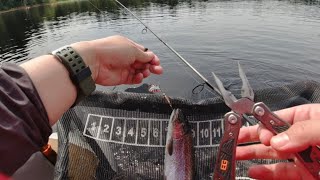 Spinner DIY我怎么做钓trout鳟鱼的Spinner /Spinner Fishing