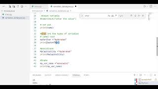 python variables part3