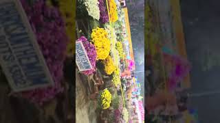 46th Annual Flower Show Organised By IOCL In Haldia