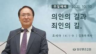 의인의 길과 죄인의 길(호 14:1-9) 김동국 목사 - 2021. 10. 10