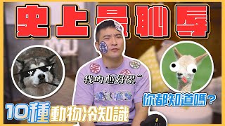 用10題動物冷知識羞辱老闆的智商😎！根本動物之恥！｜莫名其妙EP4