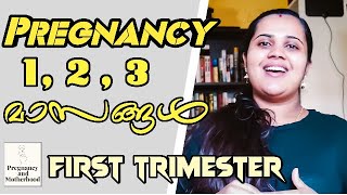 PREGNANCY FIRST TRIMESTER VIDEO [ all about first trimester ]