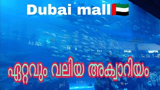 ദുബായ് മാളിലെ ഏറ്റവും വലിയ അക്വാറിയം-🇦🇪സൂപ്പർ 👌കിടിലൻ കാഴ്ച 🔥