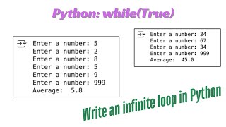 Python Lesson34: Implement a while(True) loop