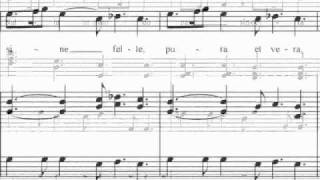 Antonio Vivaldi-Motet Nulla in mundo pax sincera RV630