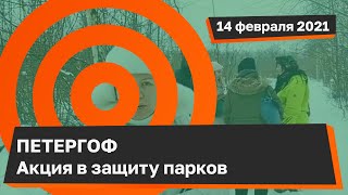 Встреча активистов по защите парков Петергофа