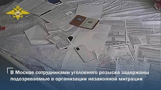 В Москве сотрудниками уголовного розыска задержаны подозреваемые в организации незаконной миграции