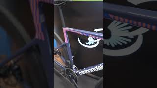 Cannondale Supersix Evo Rapha Edition, Sram AXS Force und Zipp 404 Firecrest Carbon