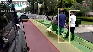 Intelligent Pedestrian \u0026 Vehicle Detecting and Warning Camera with Blind Spot Information System