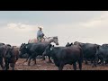 tom jones – hy plains feedyard – progressive cattle feeder