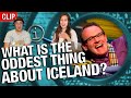 QI - What is the Oddest Thing About Iceland? REACTION