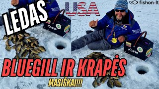 Ledas | JAV | Bluegill ir Krapės