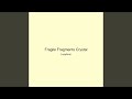 Fragile Fragments Crystal