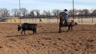 Smarty Pro Team Paul Eaves practice session | Smarty Roping | Allen Bach