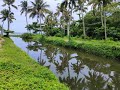 Episode 2: Kerala trip - Day 3 and 4 - Komarakom lake, Appelley beach, Light house, House boat ride