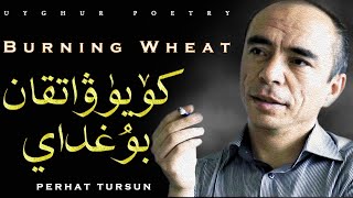 Uyghur Poem (sheir)丨Köyüwatqan Bughday (Burning Wheat)丨Perhat Tursun