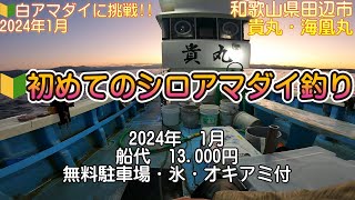 【和歌山　シロアマダイ始めました】和歌山　貴丸で行くシロアマダイ釣り