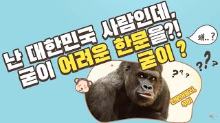 [중등배움중심수업] 한문수업사례나눔 - 1. 난 대한민국 사람인데 굳이 어려운 한문을