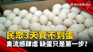 民眾3天買不到蛋 禽流感肆虐 缺蛋只是第一步？｜#寰宇新聞 @globalnewstw