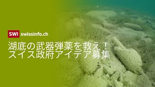 湖底の武器弾薬を安全に回収せよ！スイス政府がアイデアコンテストで賞金850万円を提供