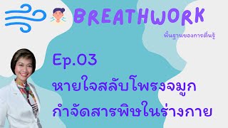 ฺBreathwork 03 การหายใจสลับโพรงจมูก กำจัดสารพิษ Nadi Shodhana