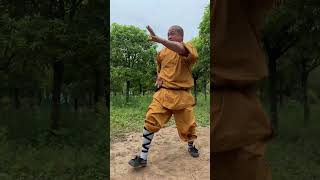 少林傳統武術，必學的五種步伐#kungfu #shaolin #shorts